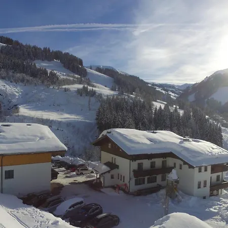 Modern In Near Area Holiday home Maria Alm am Steinernen Meer
