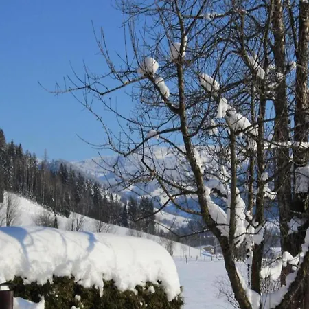 Modern In Near Area Maria Alm am Steinernen Meer