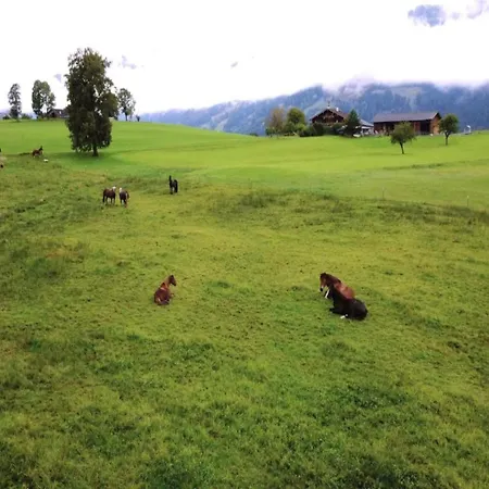 Modern In Near Area Maria Alm am Steinernen Meer