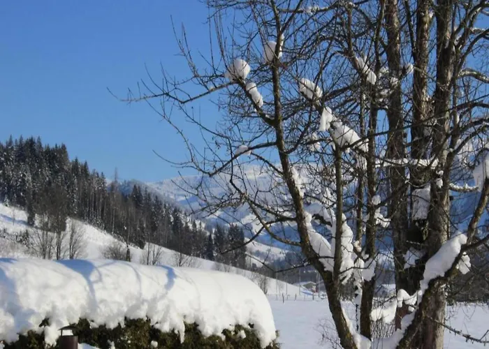 Modern In Near Area 玛丽亚埃姆安斯泰内嫩米尔